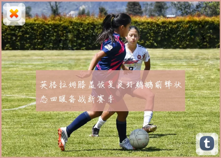 英格拉姆膝盖恢复良好鹈鹕前锋状态回暖备战新赛季