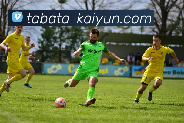 开云app服务体系